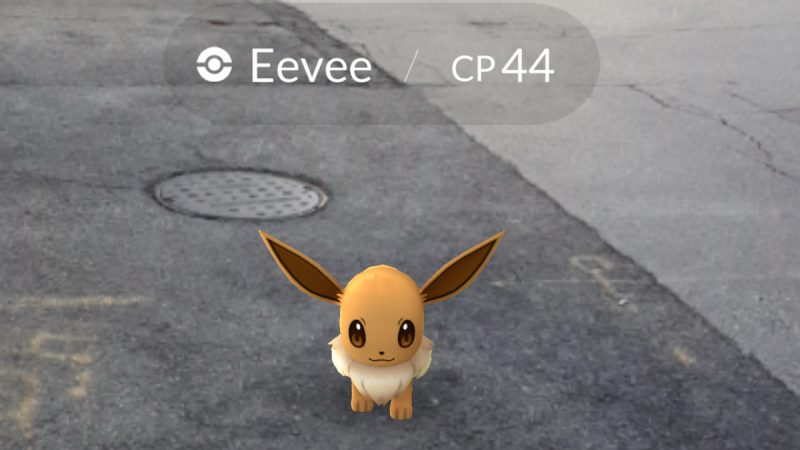 PGOAR2.png