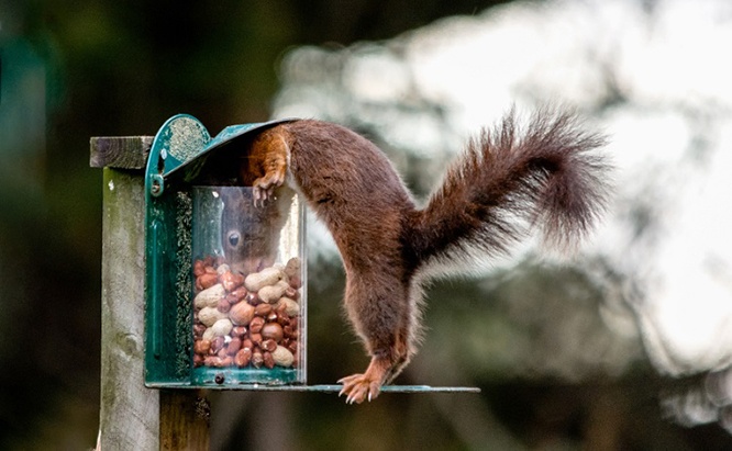 iStock_000060047876_Small.jpg